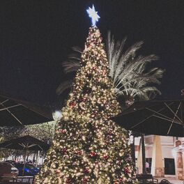 Album cover of All I Want for X-Mas is Love