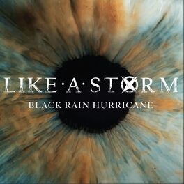 Album cover of Black Rain Hurricane