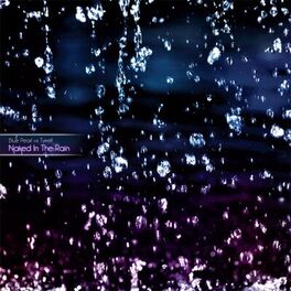 Album cover of Naked In the Rain