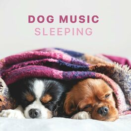 Songs that make puppies go hot sale to sleep