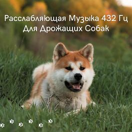 Album cover of Расслабляющая Музыка 432 Гц Для Дрожащих Собак
