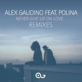 Album cover of Never Give Up on Love (Remixes)
