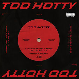 Album cover of Too Hotty