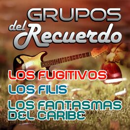 Album cover of Grupos Del Recuerdo