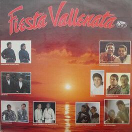 Album cover of Fiesta Vallenata vol. 17 1991