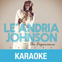 Album cover of The Experience (Karaoke Version)