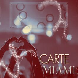 Album cover of Carte Miami (200 Essential Dance Songs Ibiza 2015 Future Hits)