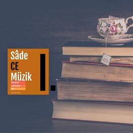 Album cover of Sadece Müzik, Vol. 1