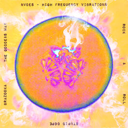 Album cover of High Frequency Vibrations