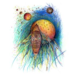 Album cover of Fills del Mar (20 anys)