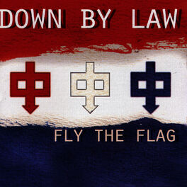 Album cover of Fly The Flag
