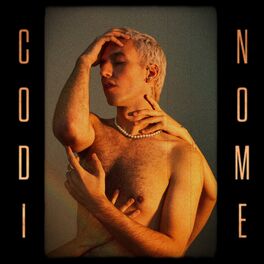 Album cover of Codinome
