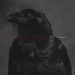 Album cover of Far From Home (The Raven)
