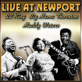 Album cover of Live At Newport