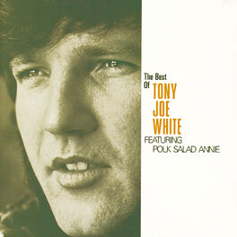 Album cover of The Best Of Tony Joe White featuring 