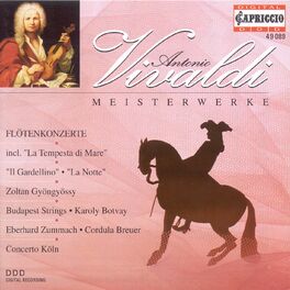 Album cover of Vivaldi: Meisterwerke