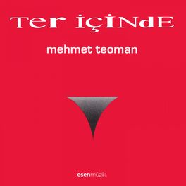 Album cover of Ter İçinde
