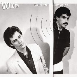Album picture of Voices