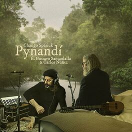 Album cover of Pynandí