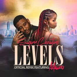 Album cover of Levels (Remix)