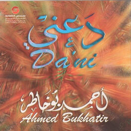 Album cover of Daani