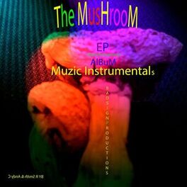 Album cover of The Mushroom Muzic Instrumentals