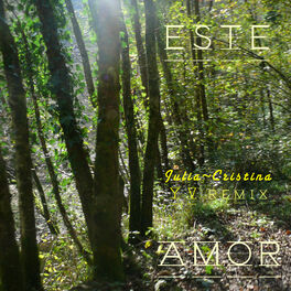 Album cover of Este Amor (YV Remix)