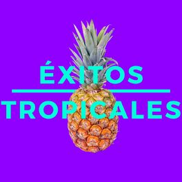 Album cover of Éxitos Tropicales