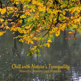 Album cover of Chill with Nature's Tranquility: Peaceful Waters and Streams
