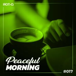 Album cover of Peaceful Morning 017