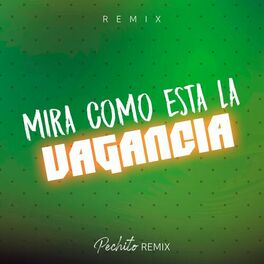 Album cover of Mira Como Esta la Vagancia