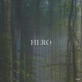 Album cover of Hero