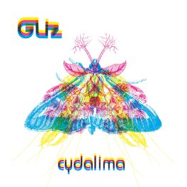 Album cover of Cydalima