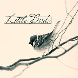 Singing Bird Sounds – música e letra de Singing Birds