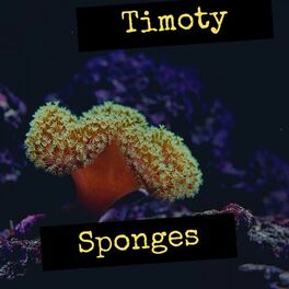 Album cover of Sponges