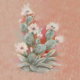 Album cover of Cactus