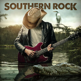 Album cover of Southern Rock