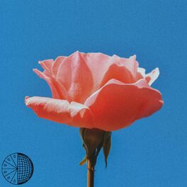 Album cover of Here
