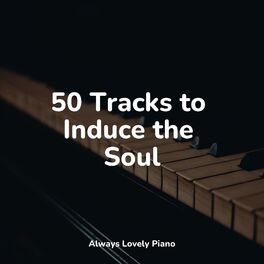 Album cover of 50 Calming Piano Melodies for Complete Relaxation