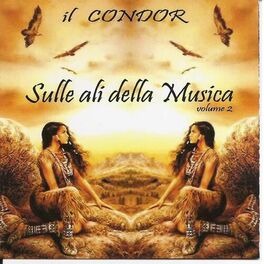 Album cover of Sulle Ali Della Musica Vol 2