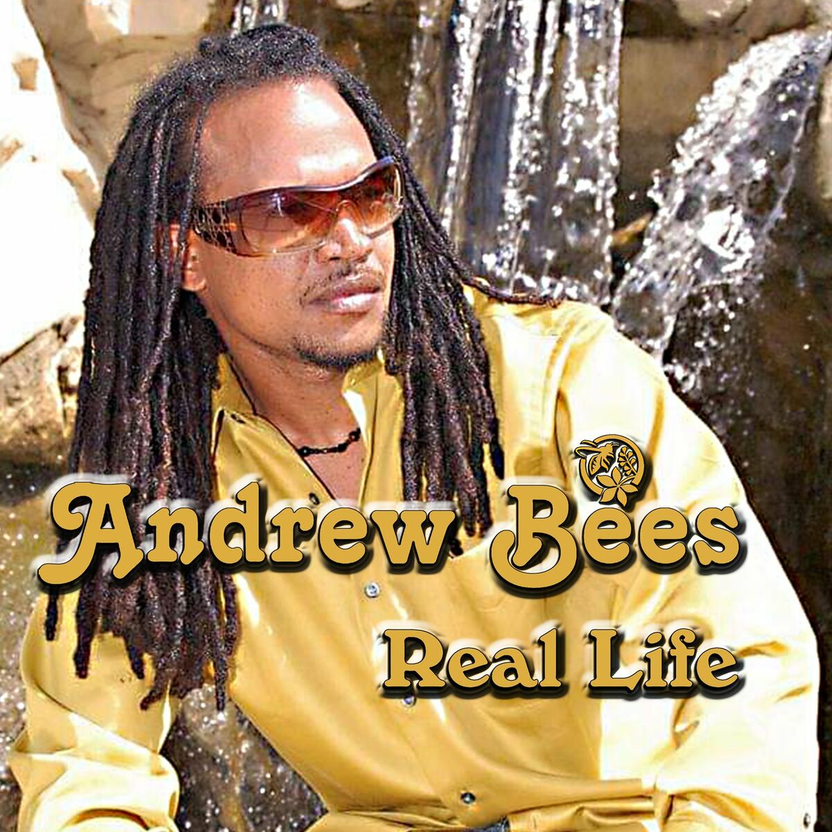 Andrew Bees: albums, songs, playlists | Listen on Deezer