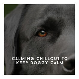 Album cover of Calming Chillout To Keep Doggy Calm