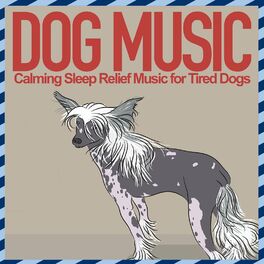Album cover of Dog Music - Calming Sleep Relief Music for Tired Dogs