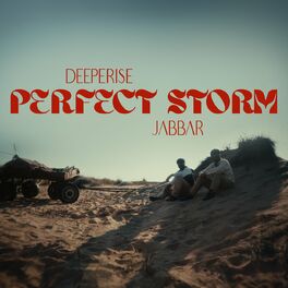 Album cover of Perfect Storm