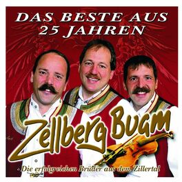 Album cover of Das Beste Aus 25 Jahren - 25 Hits