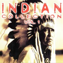 Album cover of Indian Collection, Vol. 1