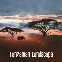 Album cover of Tanzanian Landscape (Relaxing African Music with Kalimba)