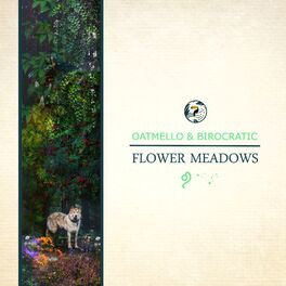 Album cover of Flower Meadows