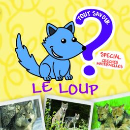 Album cover of Tout savoir sur le loup
