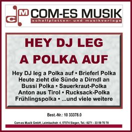Album cover of Hey DJ leg a Polka auf